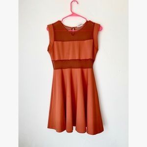 Burnt Orange L’Atiste Mesh Mini Dress (M)